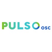 PULSOosc logo - Similar company to Feyac