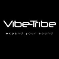 Vibe-Tribe logo - Similar company to Hidalgo & Co.