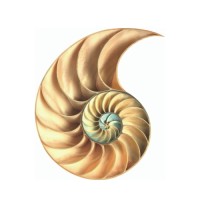 Overbury logo - Similar company to J Carey Design