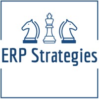 ERP Strategies logo - Similar company to Erp Next