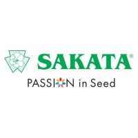 Sakata Seed Ibérica logo - Similar company to Acom - Agrocomponentes
