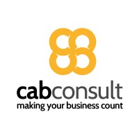 Cabconsult Lda logo - Similar company to Surax