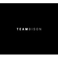 Team Bison logo - Similar company to Bison Grid Limited