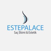 ESTEPALACE logo - Similar company to Need'Le Digital
