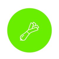 NATWORK logo - Similar company to Natworking