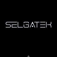 SELGATEK INFO SOLUTIONS PRIVATE LIMITED logo - Similar company to Zonet Technologies Pvt Ltd