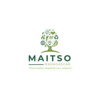 MAITSO Madagascar logo - Similar company to Data & Tech Mg
