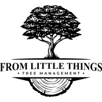 From Little Things Tree Management