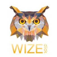 wiseclicks technologies LTD logo - Similar company to Screenovate Technologies Ltd.