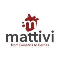Mattivi Group logo - Similar company to Vertiberry