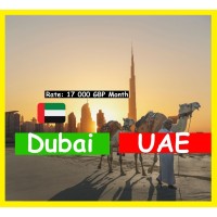 Jobs In Dubai - Job Search logo - Similar company to Fox Job Search