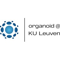 organoid@KUL logo - Similar company to Get-In Dn Msca