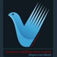 vidfactor logo - Similar company to گروه مهاجرتی افق ماندگار