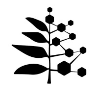Ailanto logo - Similar company to Seed Venture
