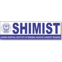 SHIMIST logo - Similar company to Lenvitz Medical Solutions