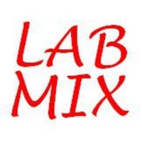 Labmix Produtos Químicos logo - Similar company to Piramid´S Quimíca