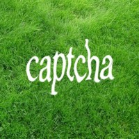 Captcha logo - Similar company to Auto Captcha Entry Software
