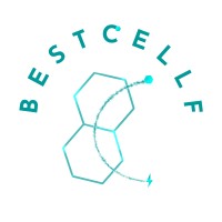 BEST CELLF