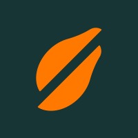 Papaya Search logo - Similar company to Rankify