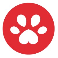 Dunking Dog Games logo - Similar company to Codmunity