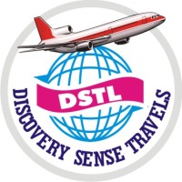 Discovery Sense Travels And Logistics logo - Similar company to Ust Computer Science Society