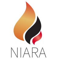 Niara Tech logo - Similar company to Net Park