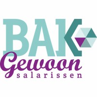 Gewoon BAK Salarissen logo - Similar company to Flentrop