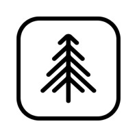 Black Pine Digital