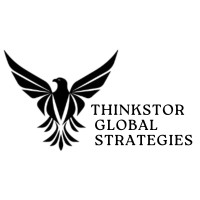 Thinkstor Global Strategies logo - Similar company to Das Integrators, Llc