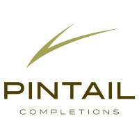 Pintail Completions logo - Similar company to Api Perforating