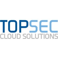 Topsec Cloud Solutions logo - Similar company to Delvex