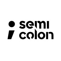 Semicolon s.r.o. logo - Similar company to Multisocial