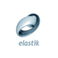 Elastik logo - Similar company to Ars Vivendi