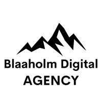 Blaaholm Digital logo - Similar company to Biir