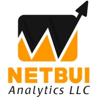 Netbui Analytics LLC logo - Similar company to Right Forensics