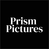 Prism Pictures logo - Similar company to Malissa Young Mgmt