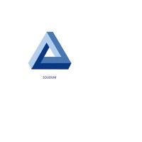 Solidum belonen en functiewaardering logo - Similar company to Fuwa Consult Functiewaardering En Beloningsadvies
