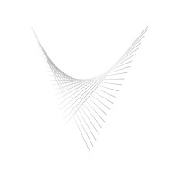 VIBRANCE logo - Similar company to Spruce Cone