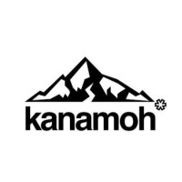 Kanamoh Solutions logo - Similar company to Icanfaang