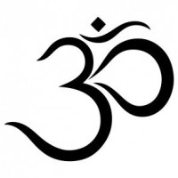 AUM Partners LLC logo - Similar company to Drive Talent