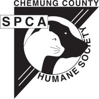 Spca Of Chemung County