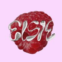 Elsie Jewellery logo - Similar company to Goodscast