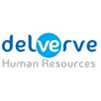 delverve Human Resources Private Limited logo - Similar company to Work Together