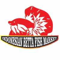 Indonesian Betta Fish Market logo - Similar company to Thailand Betta Fish
