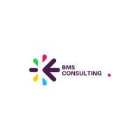 BMS CONSULTING logo - Similar company to Loopchain
