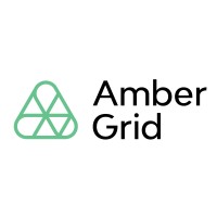 Amber Grid logo - Similar company to Litgrid