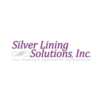 Silver Lining Solutions logo - Similar company to Cloudtrek