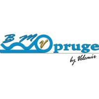 BMV OPRUGE Ltd logo - Similar company to Dbn Consulting