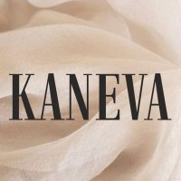 Kaneva.Consult logo - Similar company to Spl Tecelys