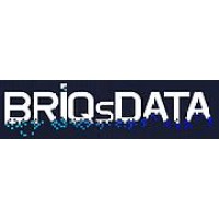 BriQs Data Private Limited logo - Similar company to Techverse Web